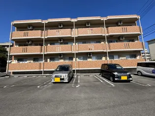 ユーミーブライトの画像