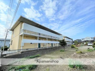 シャイニーウイングの画像