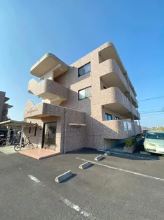 チェリーブロッサムIIの画像