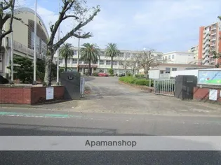 八幡屋ビル【47号室】の周辺