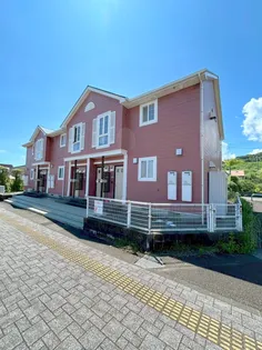 パームコート青島の画像