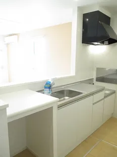 プラシード Ⅰ【1階】のキッチン