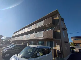 アプリコットの画像