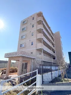 アンジェリークの画像