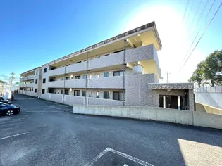リージングマンション B【203号室】の外観