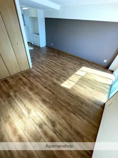 オリヴィエⅠ【3階】の内装