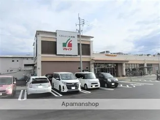 ラフィーナパレス宮崎東【3階】の周辺