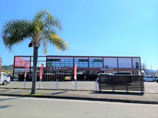 シエル・サザンビーチ【1階】の周辺