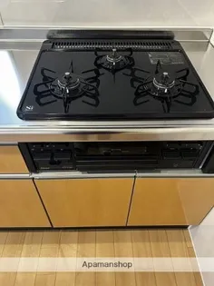 アルカディア祇園Ⅱ【1階】のその他画像