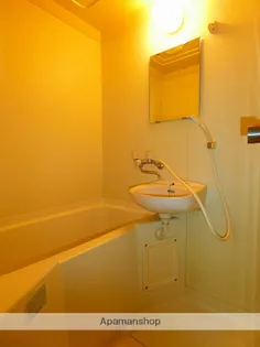 コーポレーション華【307号室】の風呂