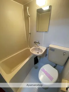 シティハイツ姫城 A・B【B27号室】の風呂