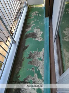 コーポ森山1号【202号室】のその他画像