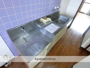 ADVANCE(旧高田ハイツ)【203号室】の内装