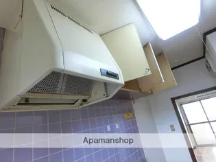 ADVANCE(旧高田ハイツ)【203号室】の内装