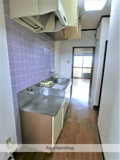 ADVANCE(旧高田ハイツ)【203号室】のキッチン