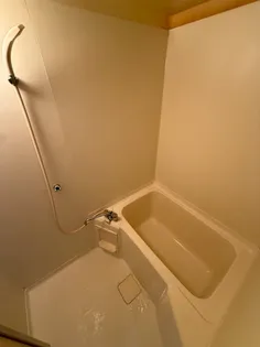 レクセル都城【1-C号室】の風呂