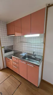 リオ・ラド・パティオ B【1階】のキッチン