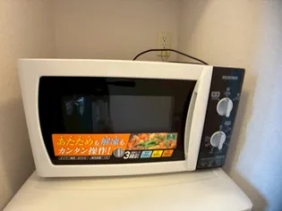 レオパレスプルメリアⅡ【206号室】の内装