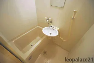 レオパレスプルメリアⅡ【206号室】の風呂