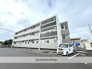 メゾン・サンファミリー【305号室】の外観