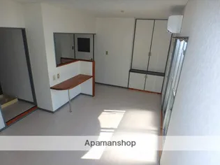 セレニティ川添A棟【306号室】の内装