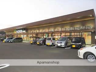 セレニティ川添A棟【306号室】の周辺