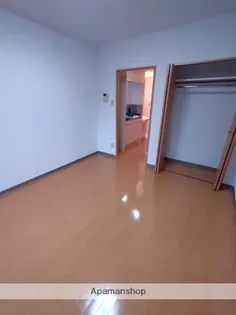 セレナーデホープ【211号室】の内装