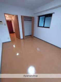 セレナーデホープ【211号室】の内装