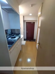 セレナーデホープ【211号室】の内装