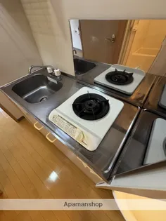 セレナーデホープ【211号室】の内装