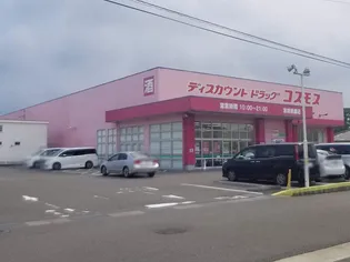 レオパレス霧島【104号室】の周辺