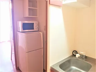 レオパレス入道【102号室】のキッチン