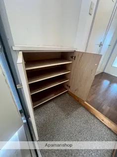 スカイコート宮崎Ⅱ【510号室】の内装