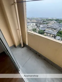 スカイコート宮崎Ⅱ【510号室】のその他画像