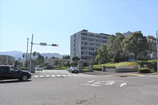 サンヴェール【202号室】の周辺