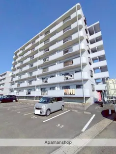 ピーチフローレⅢの画像