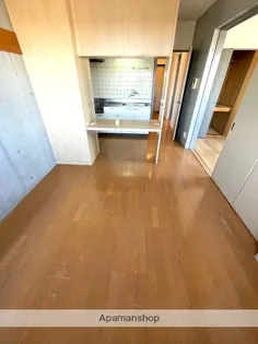 PINE VIEW【401号室】の内装