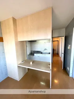 PINE VIEW【401号室】の内装