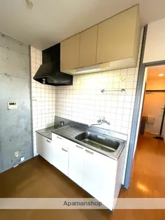 PINE VIEW【401号室】のキッチン