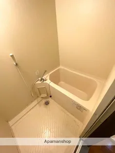 PINE VIEW【401号室】の風呂