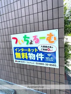 PINE VIEW【401号室】の外観