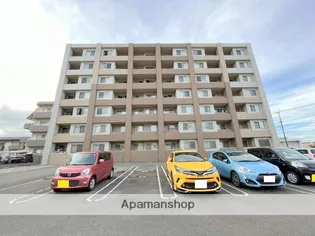 ヴェルディの画像