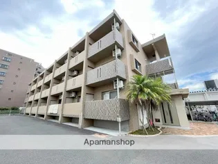 アンシャンテYの画像