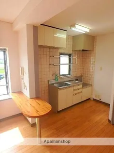 メダリストⅢ【403号室】のキッチン