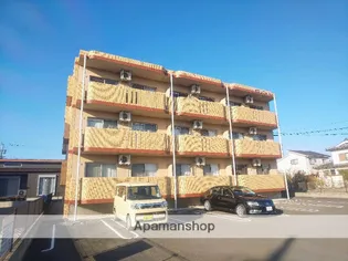 ビブレコートの画像