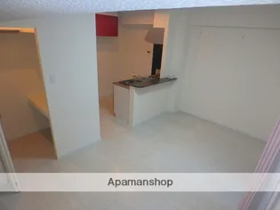 CALIFORNIA APT【7階】の内装