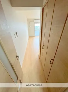 ピーチフローレ6TH【502号室】の内装