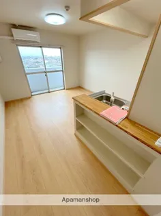 ピーチフローレ6TH【502号室】の内装