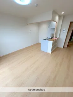 ピーチフローレ6TH【502号室】の内装