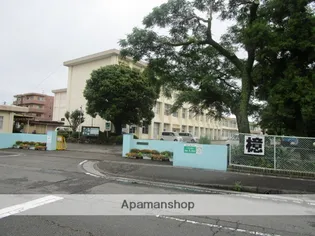 ピーチフローレ6TH【502号室】の周辺